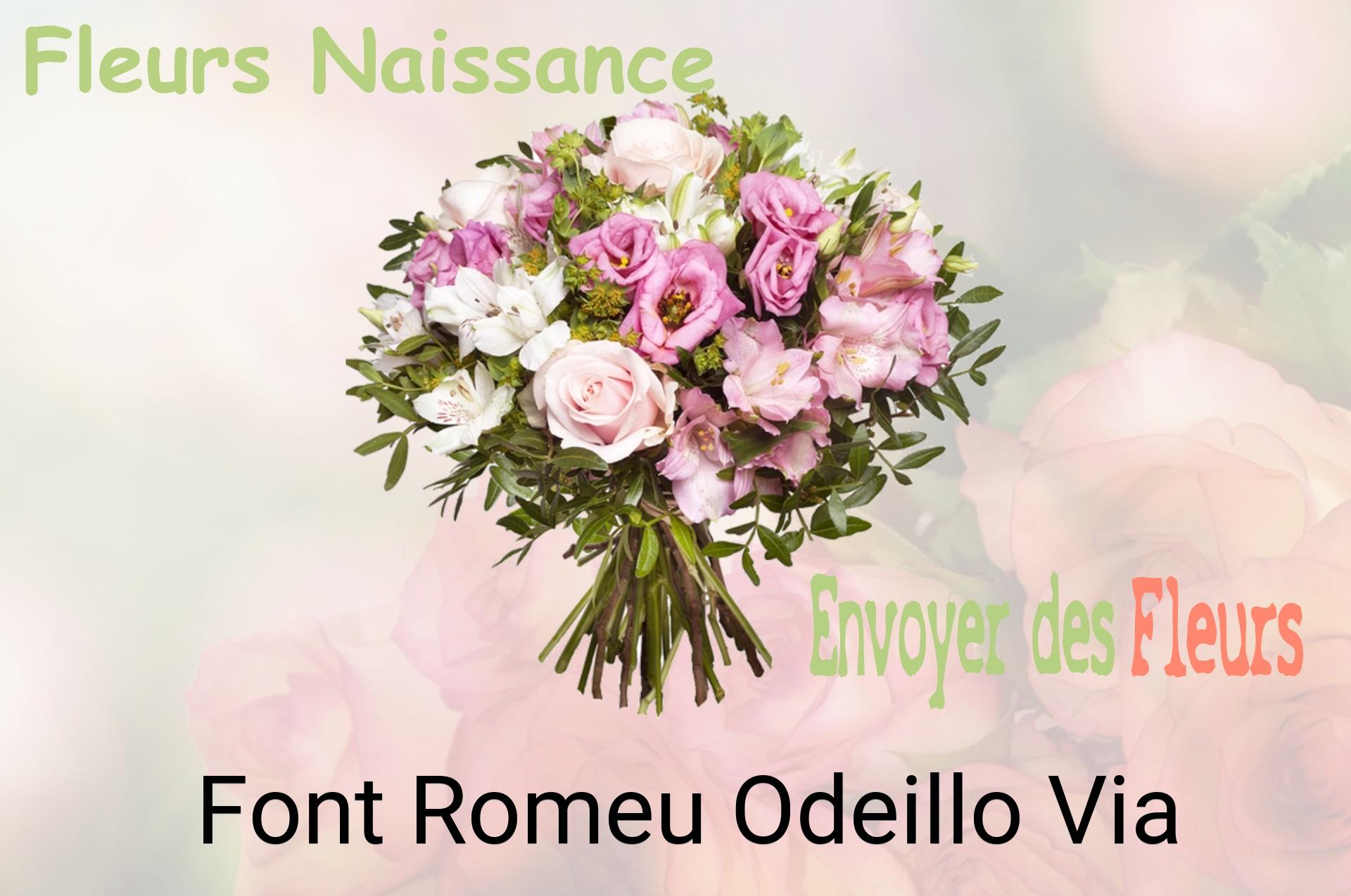 Bouquet de fleurs de naissance livré à Font-Romeu-Odeillo-Via